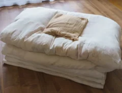 今すぐできる布団のカビ対策！役立つアイテムやカビの取り方も紹介