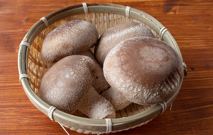 椎茸の『気中菌糸』と『カビや腐敗』の見分け方