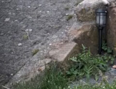 道の写真