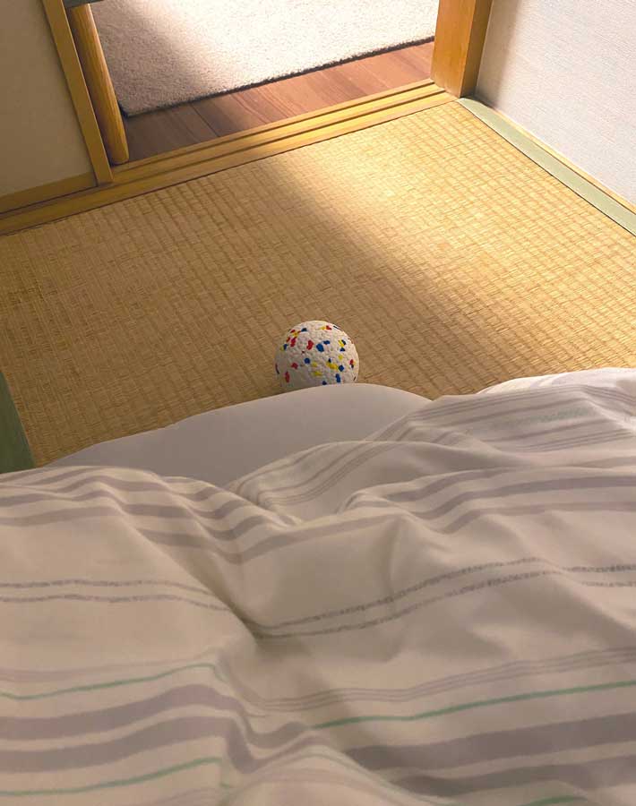 ボールの写真