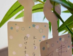 短冊の画像
