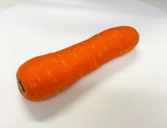 ニンジンの写真