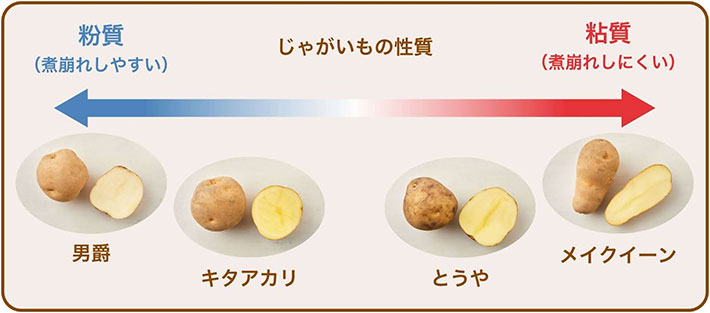 ジャガイモの品種別の画像