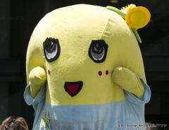 ふなっしーの写真