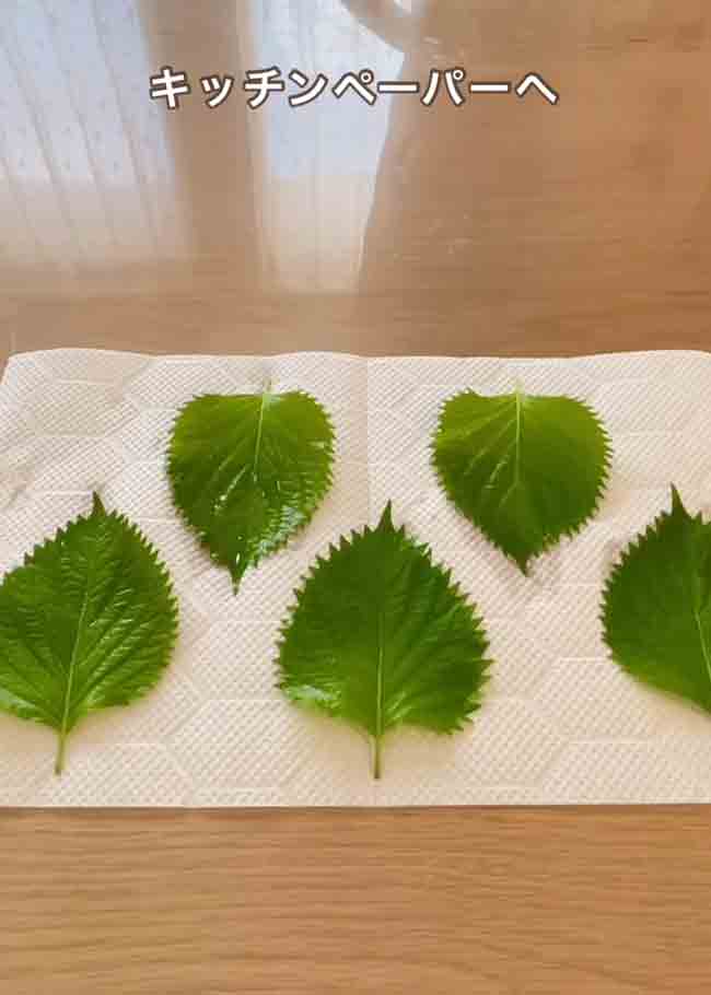 大葉