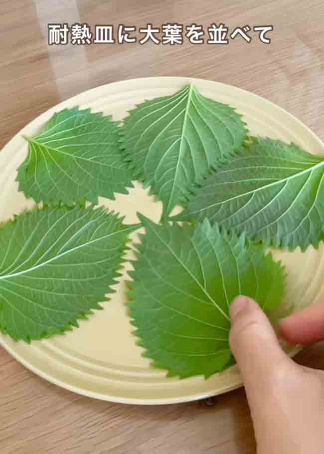 大葉