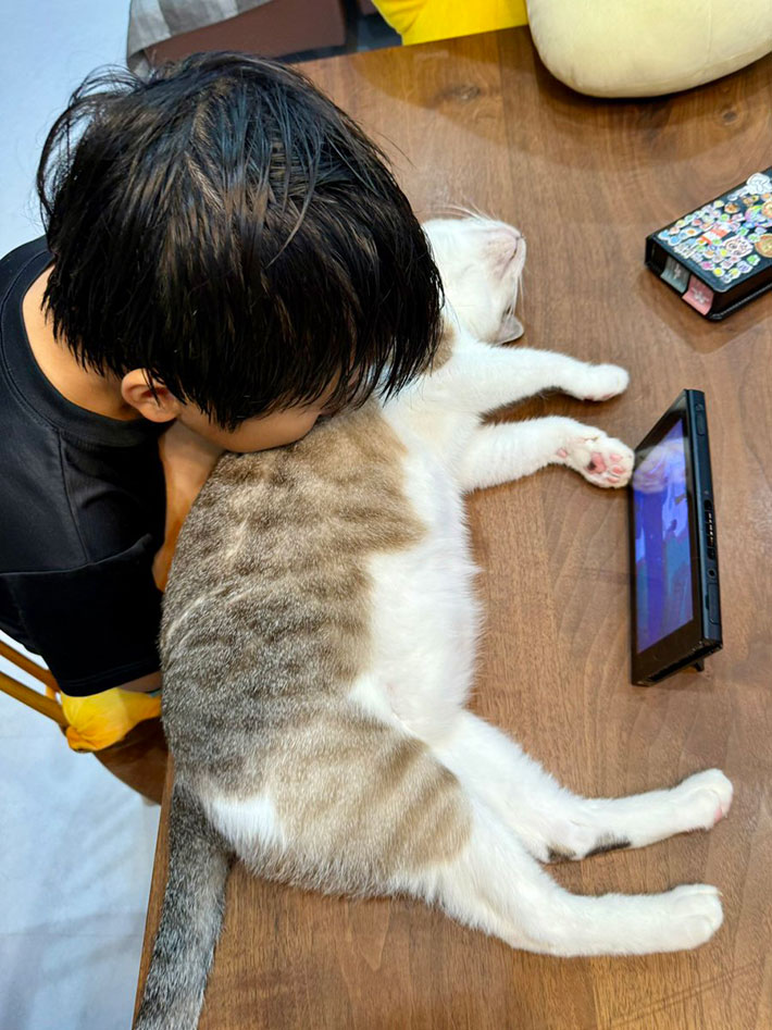 息子と猫の写真