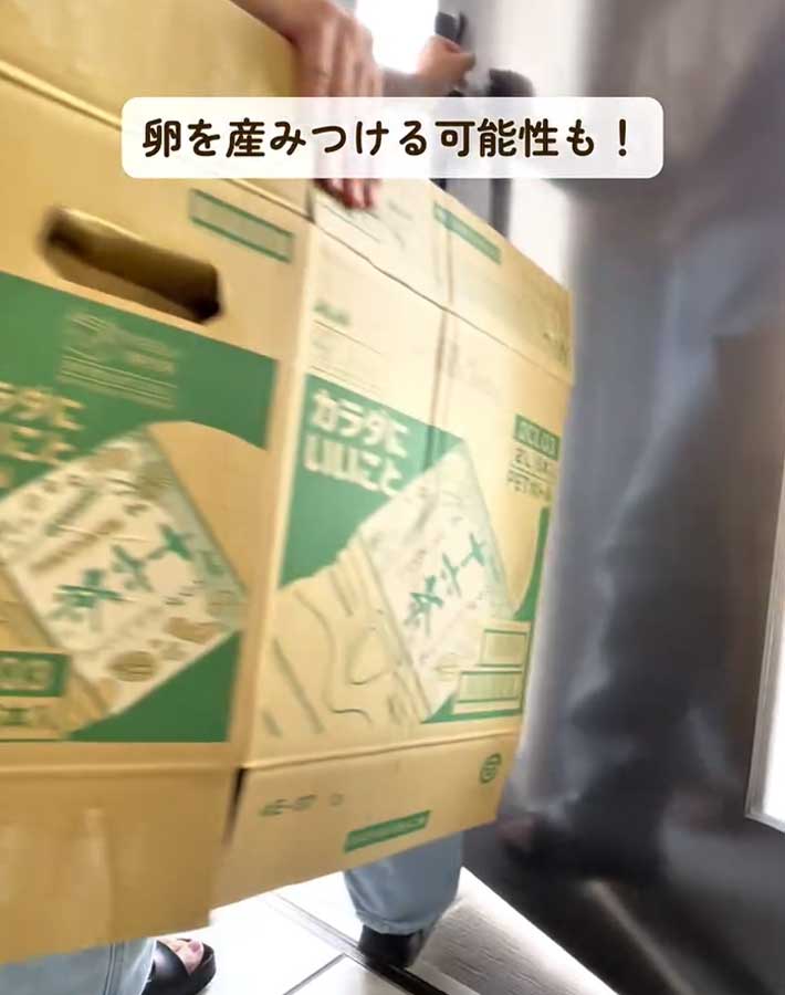 ゴキブリ対策
