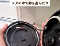ゴキブリ対策