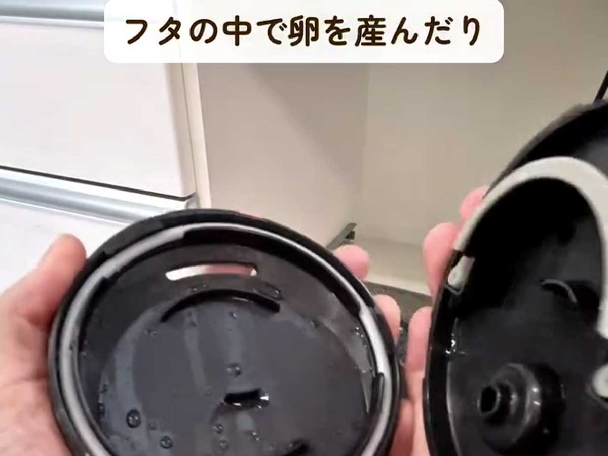 ゴキブリ対策