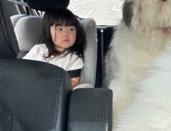 娘のお見送り