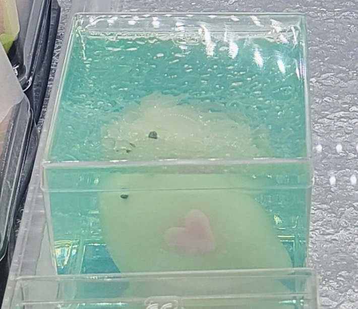 和菓子の写真