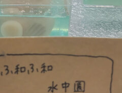 和菓子の写真