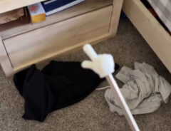 ポインターと散らかった部屋の写真