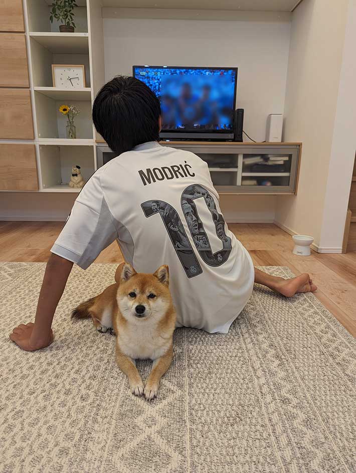 柴犬