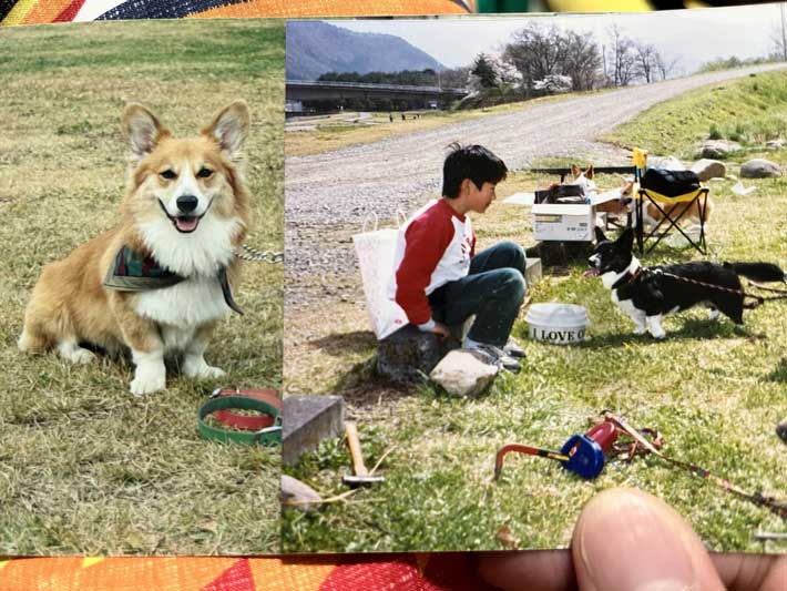 ３０年前の写真