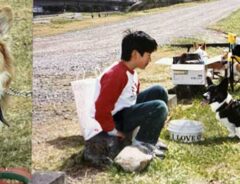３０年前の投稿者とコーギー