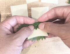 大葉とチーズの写真