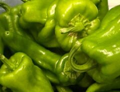 野菜の画像