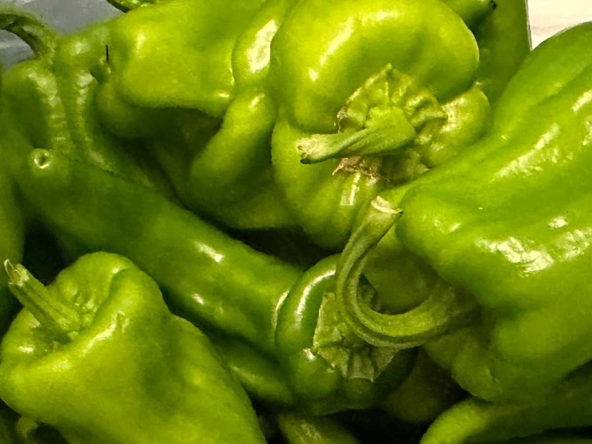 野菜の画像