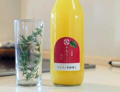 リンゴジュース