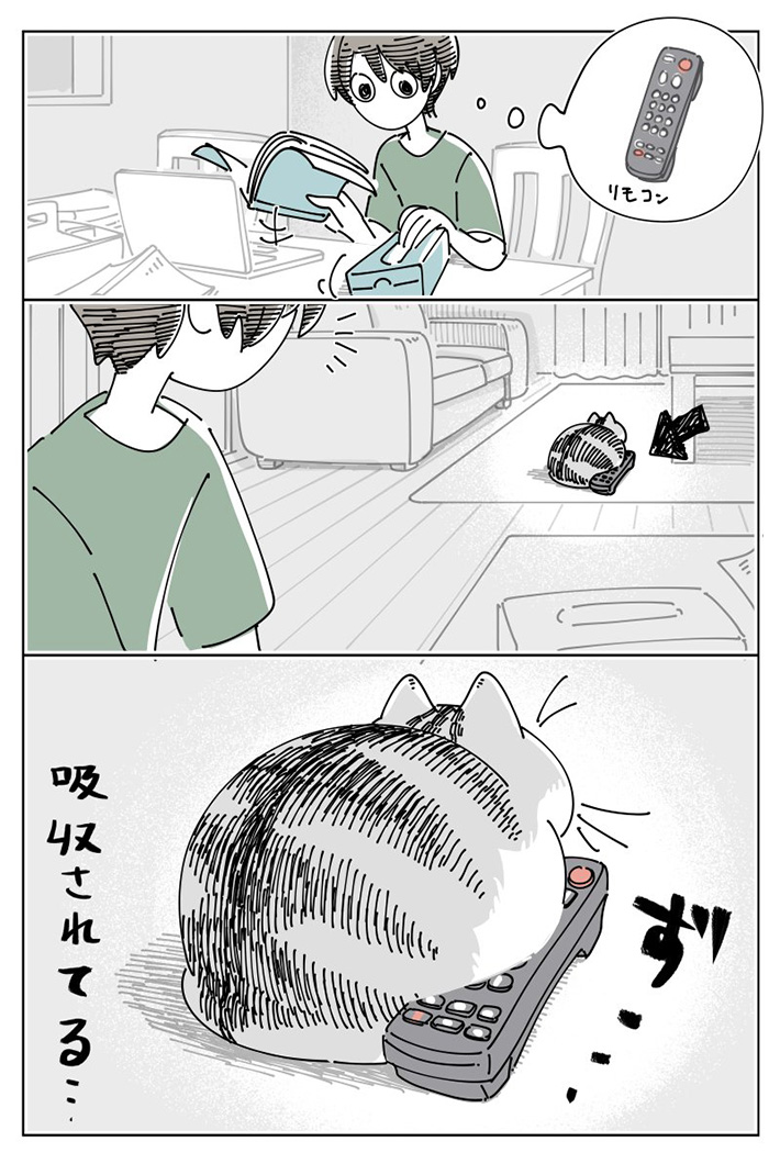 キュルZ（@kyuryuZ）さんが自身の体験をもとに描いた、猫のキュルガと飼い主たちを描いた漫画