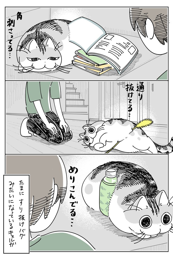 キュルZ（@kyuryuZ）さんが自身の体験をもとに描いた、猫のキュルガと飼い主たちを描いた漫画