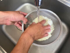 そうめんの写真