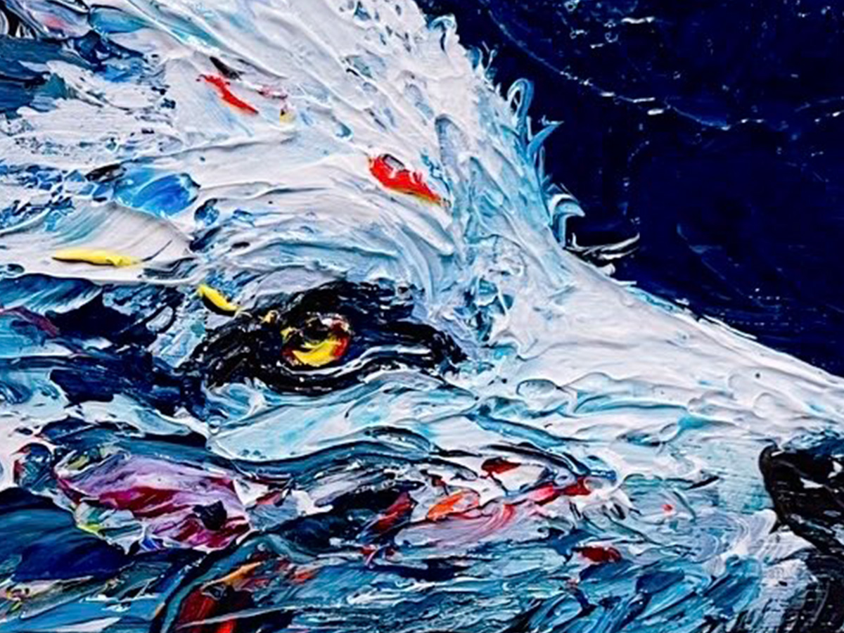 オオカミの絵の画像