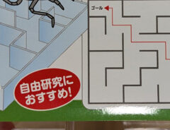 迷路の写真