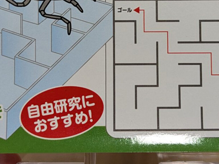 迷路の写真