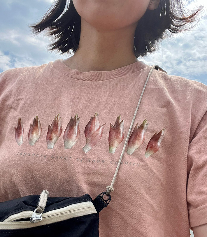 Tシャツの写真