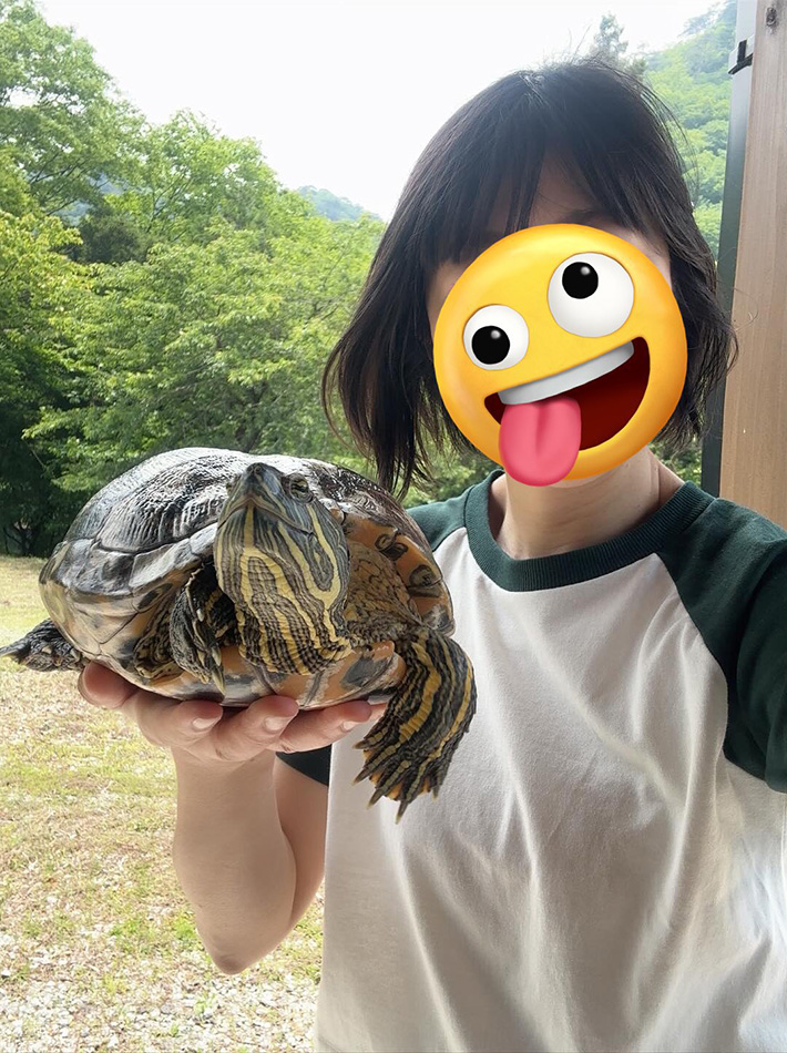 Meg（@megetarnaldream）さんと暮らす、カメのアッシュちゃん