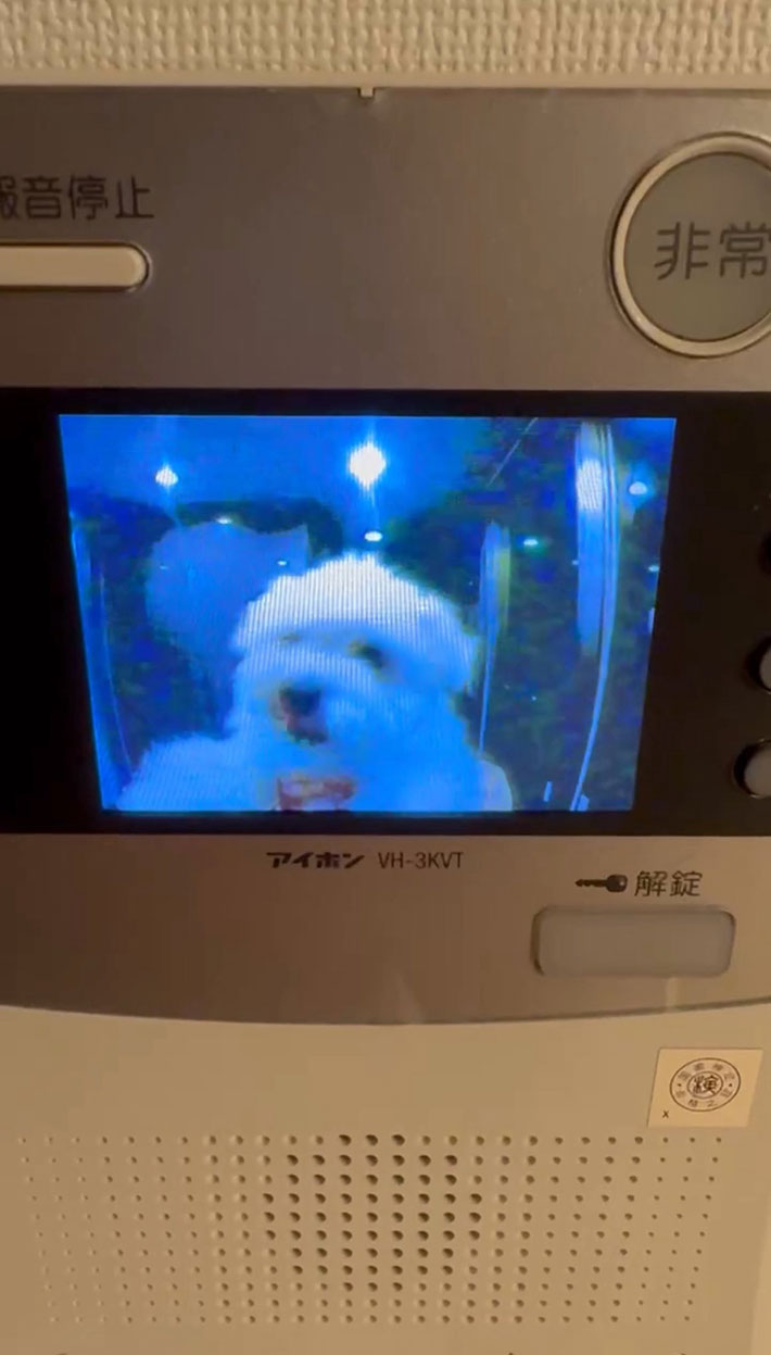 インターホンの写真