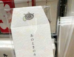 ポチ袋の写真