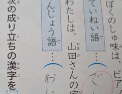 小５息子の宿題