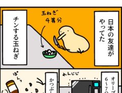 キーウィさん漫画画像