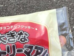 超大きなカントリーマアム