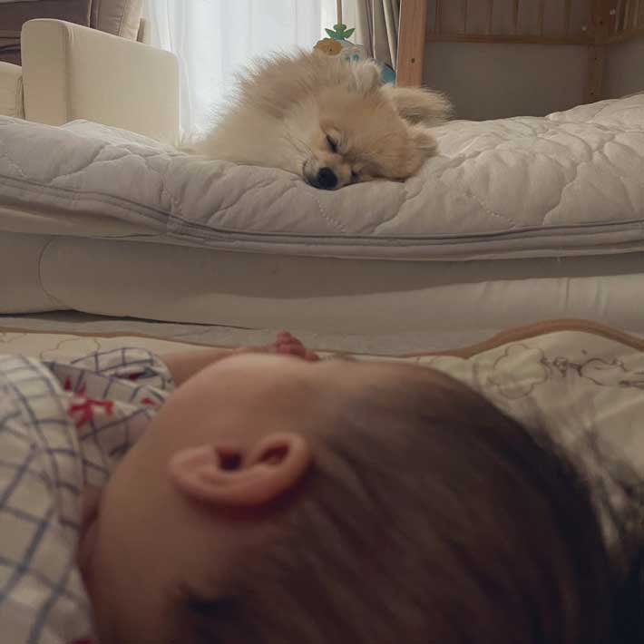 向かい合って眠る赤ちゃんと犬