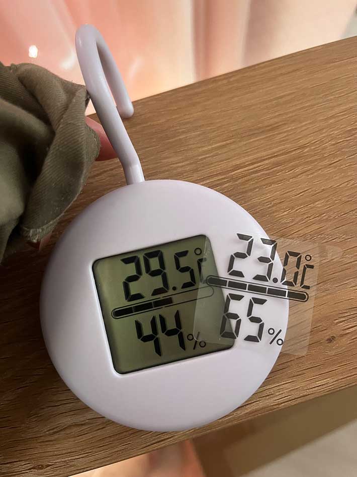 温度計の写真