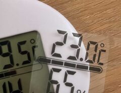 温度計の写真