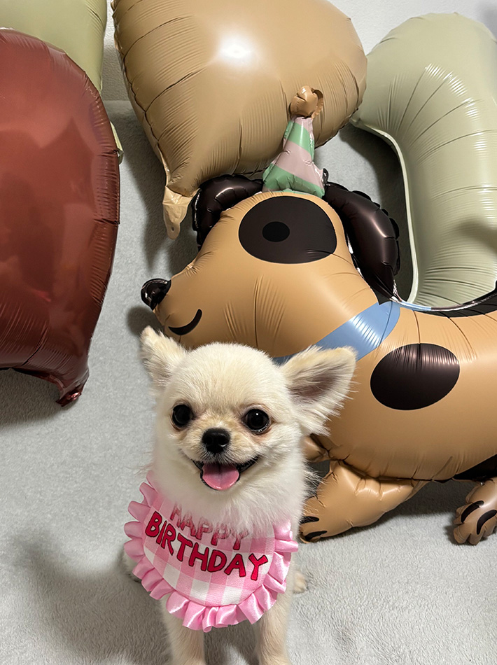 犬のきりべえくん