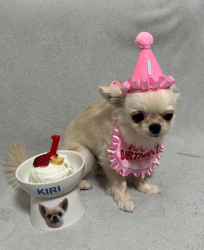 犬のきりべえくん
