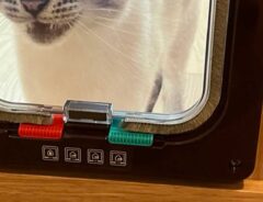 猫ドアの出入り方法が分からない猫の写真