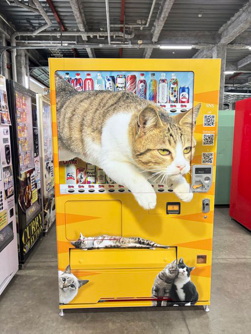 躍動感のある猫があしらわれたラッピング自販機の写真