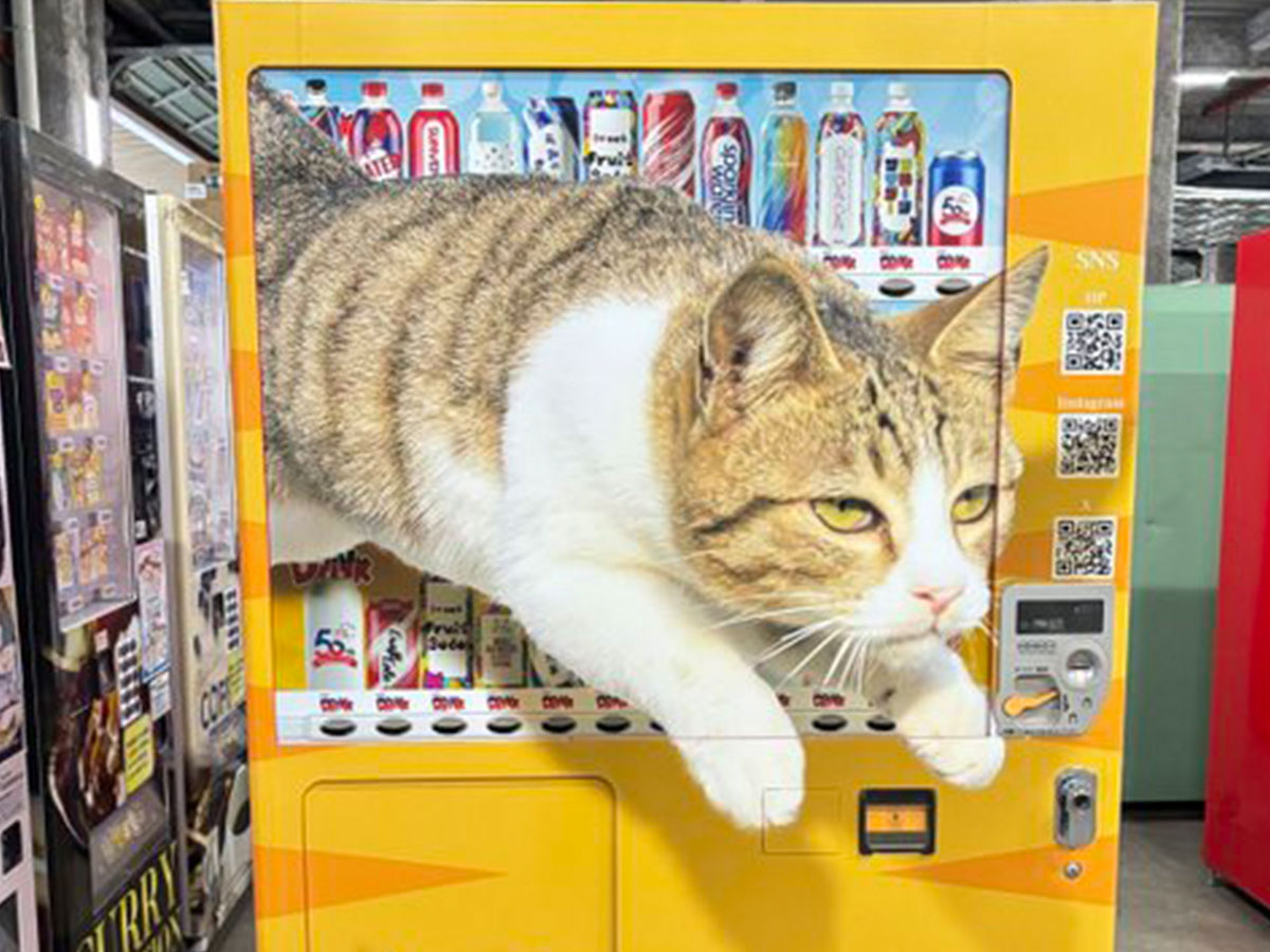 猫があしらわれたラッピング自動販売機の写真