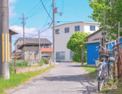 田舎の夏