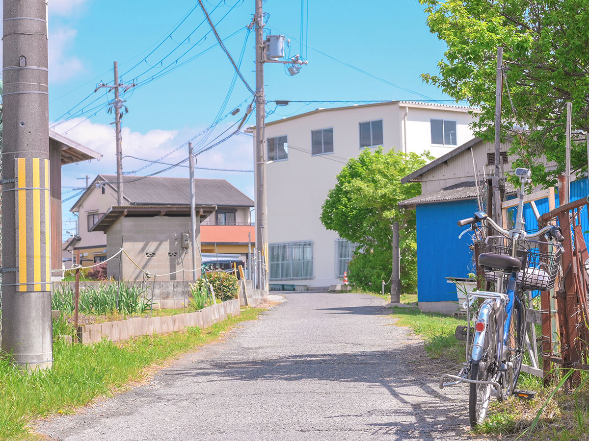 田舎の夏