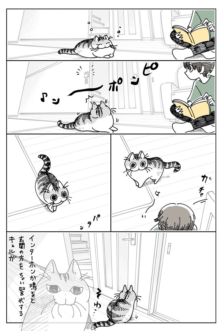 キュルZ（@kyuryuZ）さんの漫画