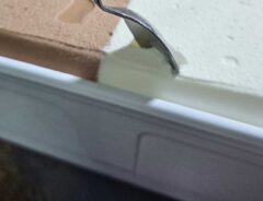 アイスの写真